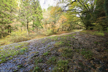 愛媛県東温市　秋の滑川渓谷