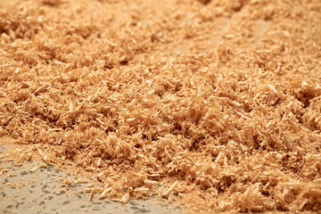 A closeup of a lot of wood shavings