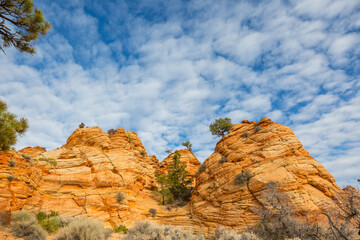 Fototapeta premium Utah landscapes
