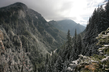 view of the Koscieliska Valley, Western Tatra Mountains, Tatra National Park, Poland