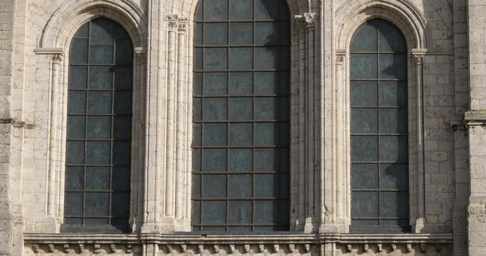 The Notre Dame cathedral, Chartres, Eure et Loir, France