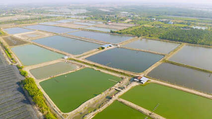 Aerial view of natural sea salt ponds, lake or sea. Farm field outdoor in traditional industry in...