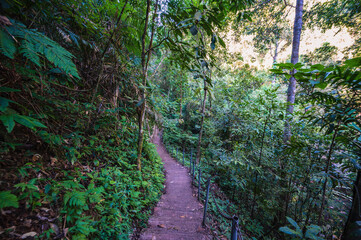 Obraz premium Nature trail at Sapan waterfall nan Thailand.Sapan is Small and tranquil Village in the mountain.