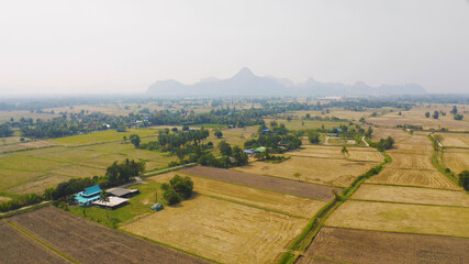 Fototapeta na wymiar Aerial top view of fresh paddy rice, green agricultural field in countryside or rural area in Asia. Nature landscape background.