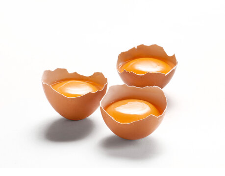 Opened eggshell  and egg yolk isolated on white background.