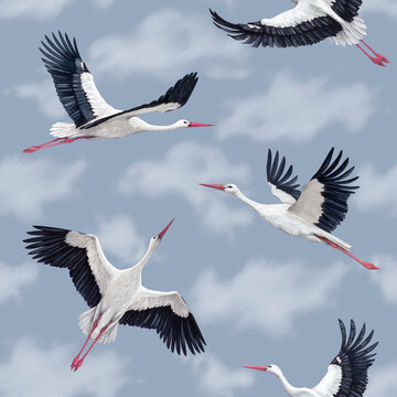 Hand painted seamless pattern with storks flying on sky background. Pattern for fabric, baby clothes, wallpapers, home textile, wrapping paper and other decoration