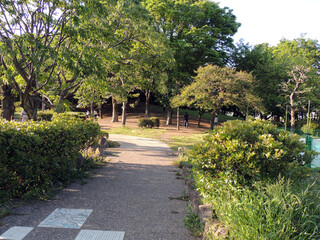 公園の道