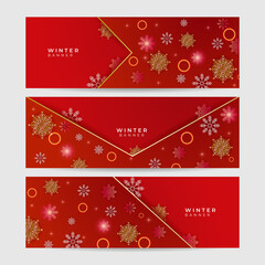 Winter Dark Blue Snowflake design template banner