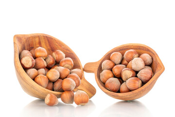 Several organic hazelnuts with two wooden cups, close-up, isolated on white.