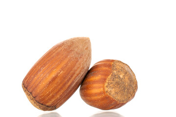 Two unpeeled hazelnuts, close-up, isolated on white.