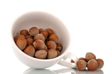Several organic hazelnuts in a white ceramic cup, close-up, isolated on white.