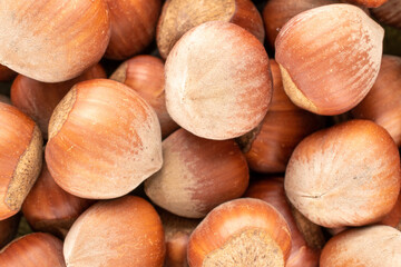 Several unpeeled hazelnuts , close-up, top view.
