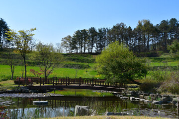 나무가 있는 풍경