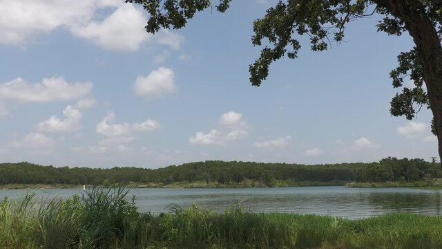 Wide, steady shot of a lake with a tree in the bank