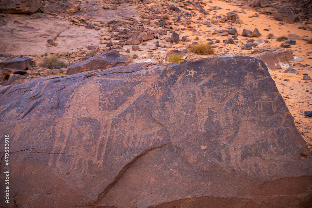 Wall mural petroglyphs in the nature in saudi arabia