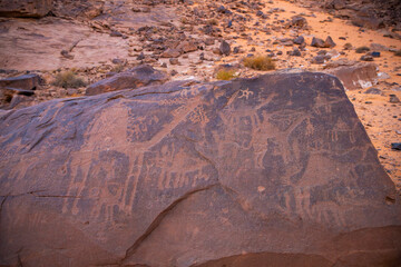 Petroglyphs in the nature in Saudi Arabia 