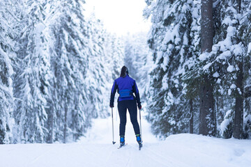 Cross country ski. Skier rides in the woods on skis.