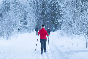 Fototapeta na wymiar Cross country ski. Skier rides in the woods on skis.