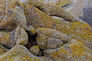 Lichen on granite boulders, Alabama Hills, CA, USA