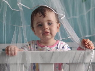 Baby standing in the crib protected by the mosquito net