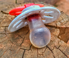 Lost Dirty Pacifier on the log in the nature