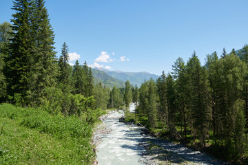 Obraz premium mountain river Akkem in Altay mountains