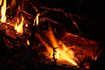 Fire in the bonfire. Flames of campfire