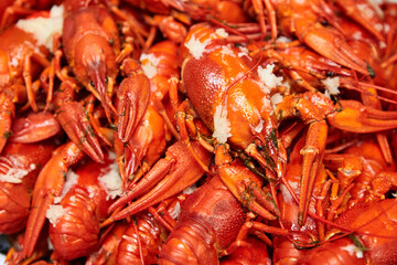 Red boiled crayfish with garlic and dill. Close-up, selective focus