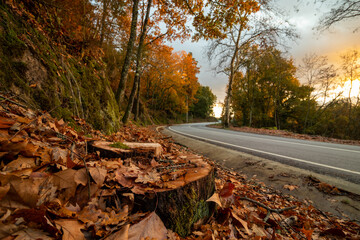Portuguese national road with fantastic autumn colors, Viseu district