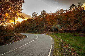 Portuguese national road with fantastic autumn colors, Viseu district - obrazy, fototapety, plakaty