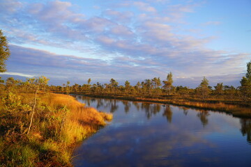 autumn landscape with lake and trees