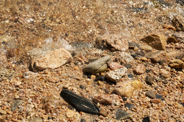 Pebbles in water. Stine background and texture