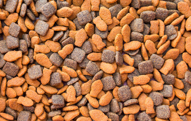 Closeup dry cat food background, adult cat food, tuna and salmon fish flavor