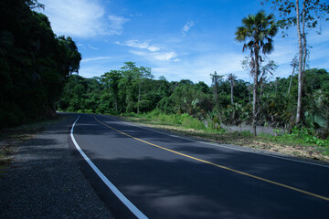 Fototapeta na wymiar Empty asphalt road in tropical forest on a sunny day in Indonesia.