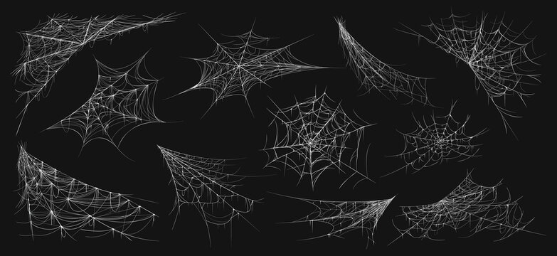 Halloween spider web. Realistic cobweb, scary dark corner isolated net, spooky decorative element. Vector creepy hanging gothic web