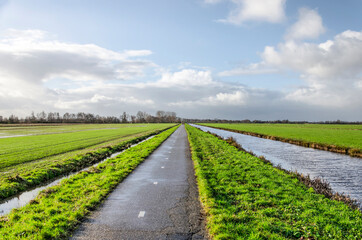 Fototapeta na wymiar Narrow asphalt bicycle path in Krimpenerwaard polder in the Netherlands