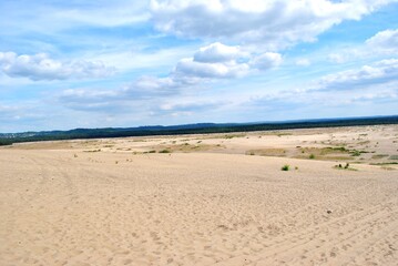 Fototapeta na wymiar Sandy areas. Błedowska Desert. Poland. Beautiful landscape.