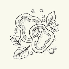  Pepper slices with basil leaves. Hand drawn ladies bag illustration