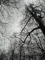 Regarder vers le ciel