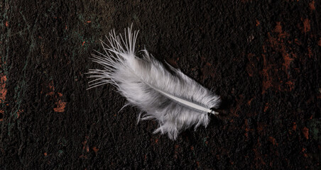 Uma pequena e singela pena de um pássaro