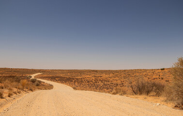 Dirt road in the Kgalagadi