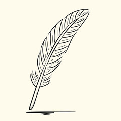 Feathe. Hand drawn vector illustration.