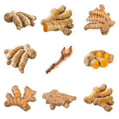 set of turmeric roots isolated on white