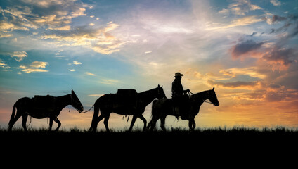 Fototapeta na wymiar Horse silhouette at dawn