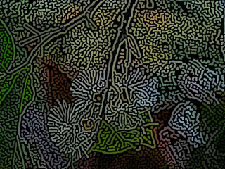 pattern with flowers