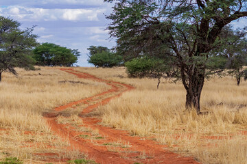 Kalahari