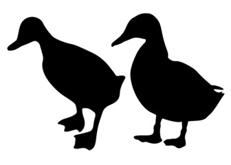 Ducks are big in the set. Vector image.