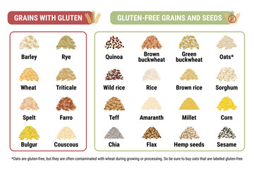 Gluten-free and containing gluten grains infographic. Healthy and unhealthy grains and seeds by celiac disease. Horizontal format. Wheat, barley, rye, triticale. Hand drawn vector illustration