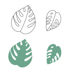 Illustration of Monstera leaves outline and silhouette