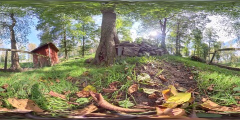 Fenced Green Garden with Rocks and Tree, Low Angle, Panoramic 360 VR